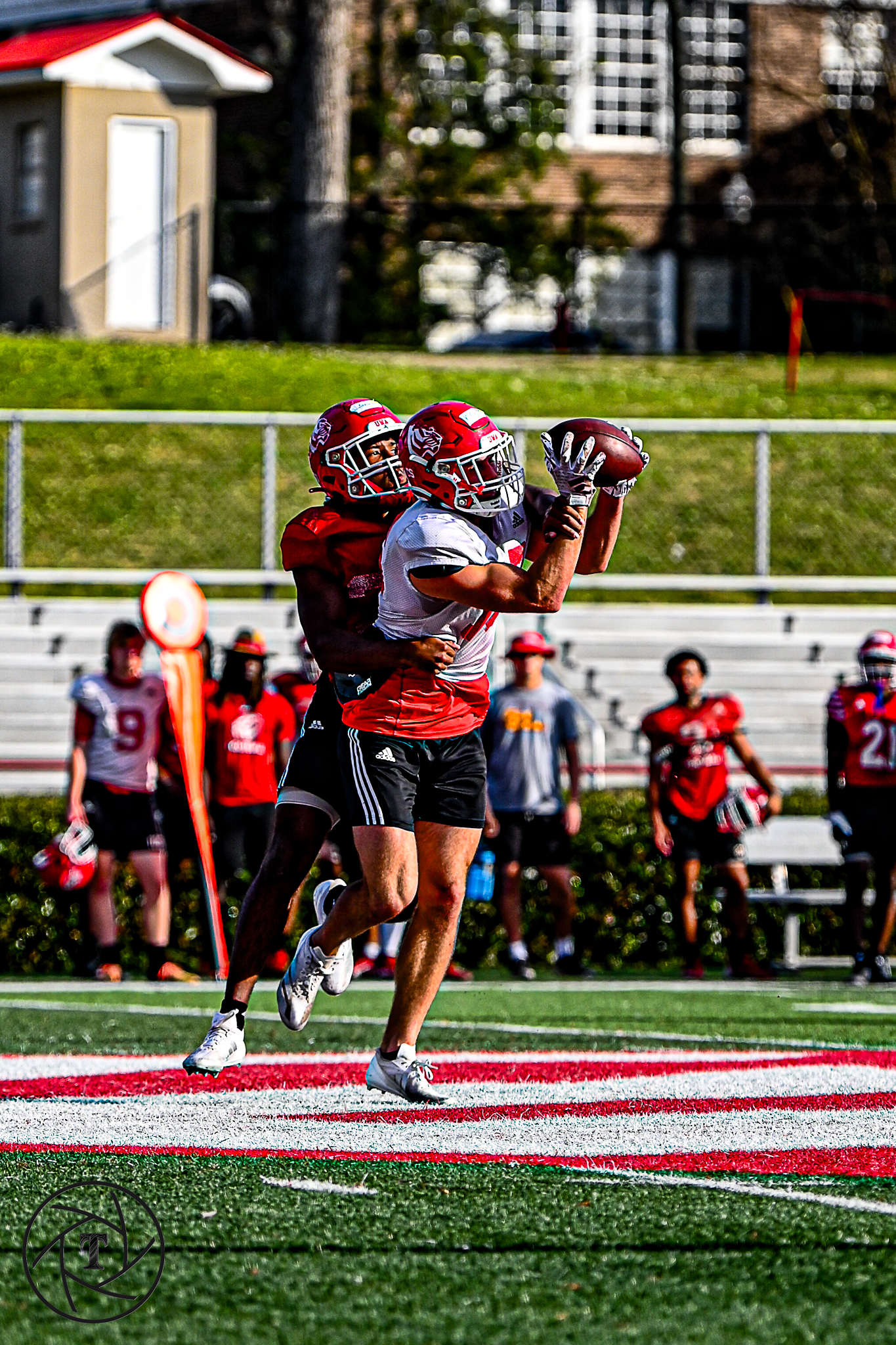 UWA Football frame